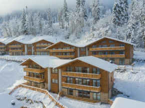 Chalet in Salzburg with infrared sauna